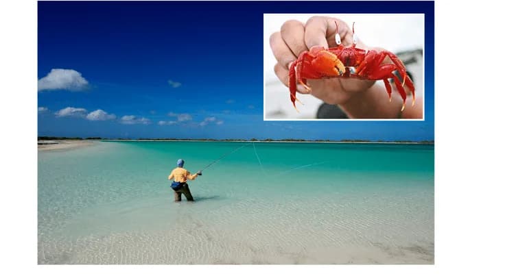 Gdzie leży wyspa Bożego Narodzenia? Odkryj jej tajemnice i lokalizację