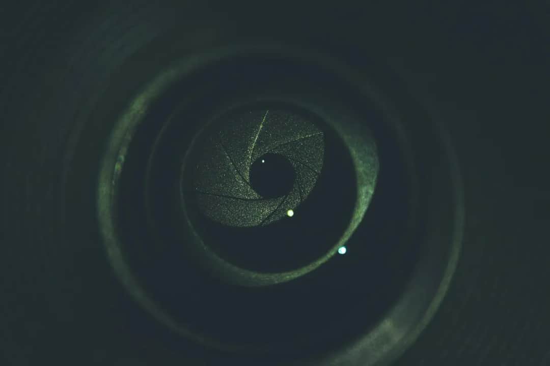 Jaki obiektyw do sesji w plenerze wybrać, by uniknąć błędów i złapać idealne kadry