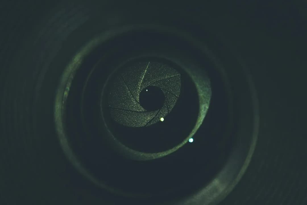 Jaki obiektyw do sesji w plenerze wybrać, by uniknąć błędów i złapać idealne kadry