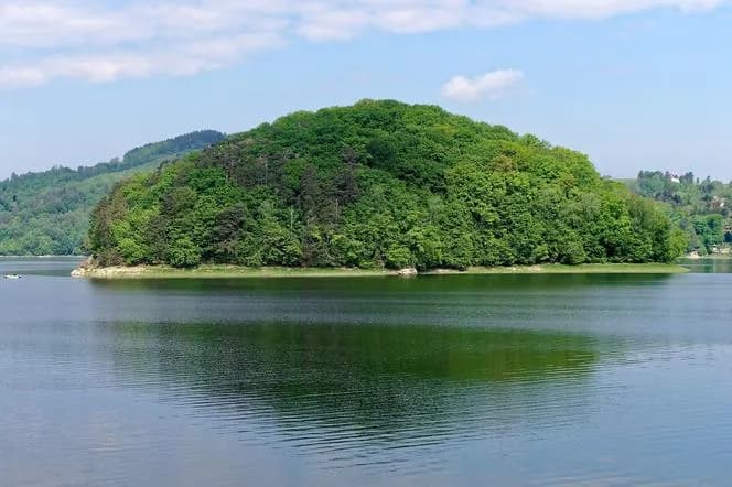 Małpia Wyspa – skąd wzięła się ta tajemnicza nazwa i co oznacza?